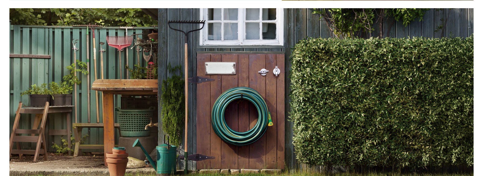 Garden Outdoor Scene