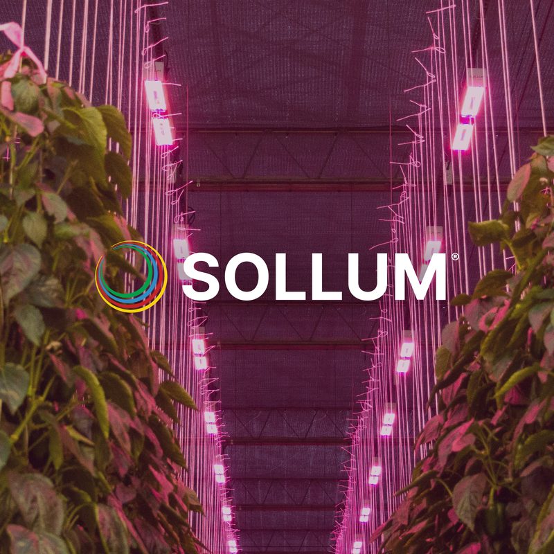 Sollum Technologies, LED lighting for greenhouses